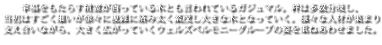 幸福をもたらす精霊が宿っている木とも言われているガジュマル。幹は多数分岐し、当初はすごく細いが徐々に複雑に絡み太く繁茂し大きな木となっていく。様々な人材が集まり支え合いながら、大きく広がっていく株式会社ベルモニーの姿を重ねあわせました。
